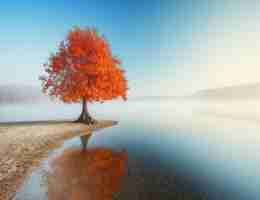 高﻿效‍技‌术‍教​程‍脚‍本​